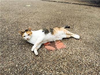 《永劫无间》X龙门石窟联动内容正式解禁