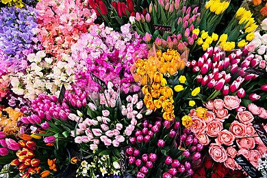 10万元奖金！《极限竞速：地平线5》爵对车手线上选拔赛报名开启